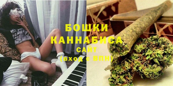 Альфа ПВП Белокуриха