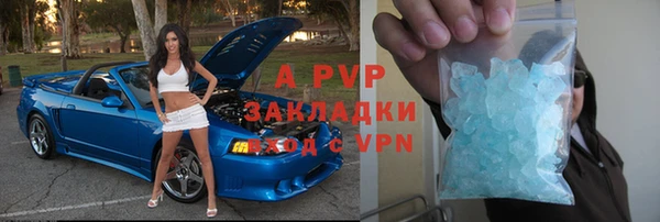Альфа ПВП Белокуриха