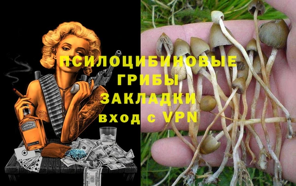 a pvp Белоозёрский