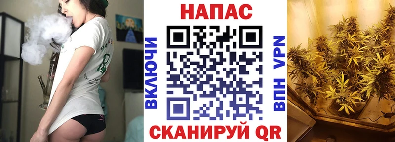 Бошки марихуана план  даркнет сайт  omg рабочий сайт  Володарск 
